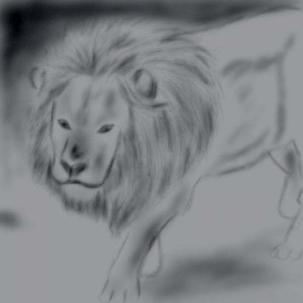 Creation of Run.....Its a lion......: Step 9